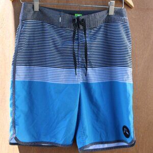 Quiksilver Board Shorts Men’s 29 Blue Gray Stripe Swim Trunks Surf Beachwear